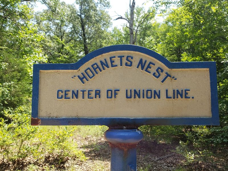 The Hornet’s Nest - Shirley