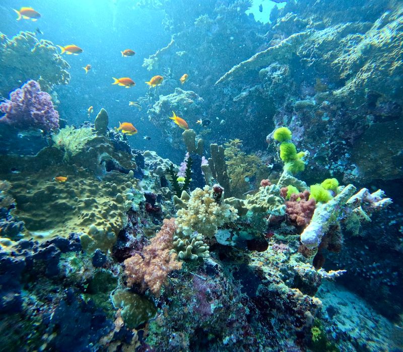 Fiji's Rainbow Reef – Fiji