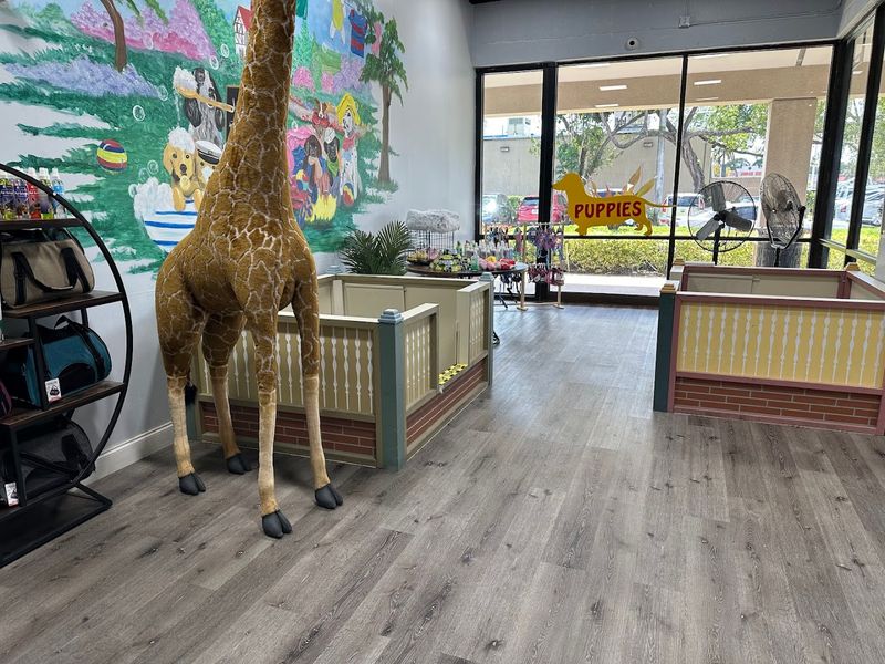 Affordable Pricing That Surprises People