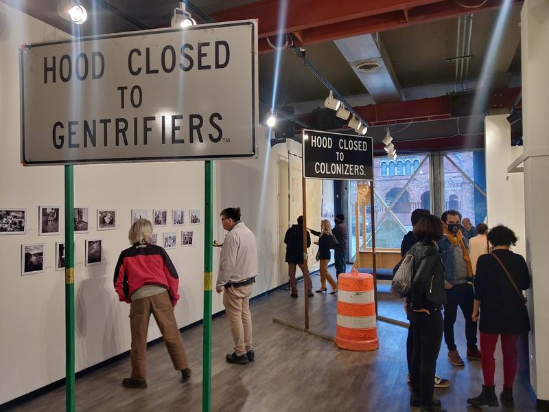 What the Wayne State Connection Means for DAM's Future