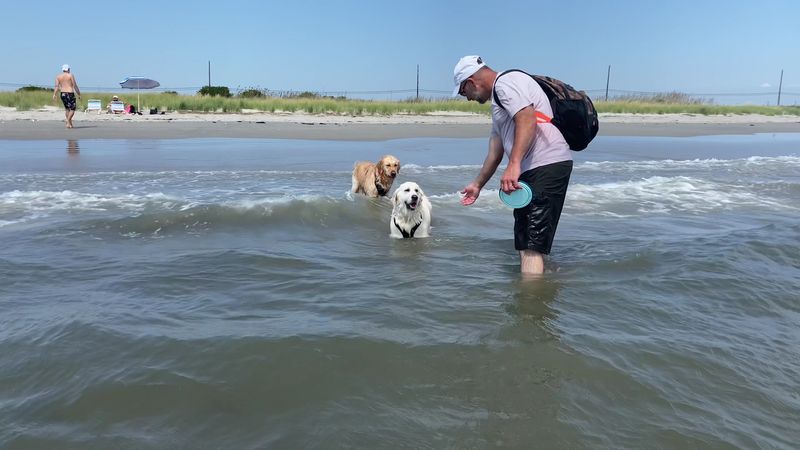 Longport Dog Beach, Longport, NJ