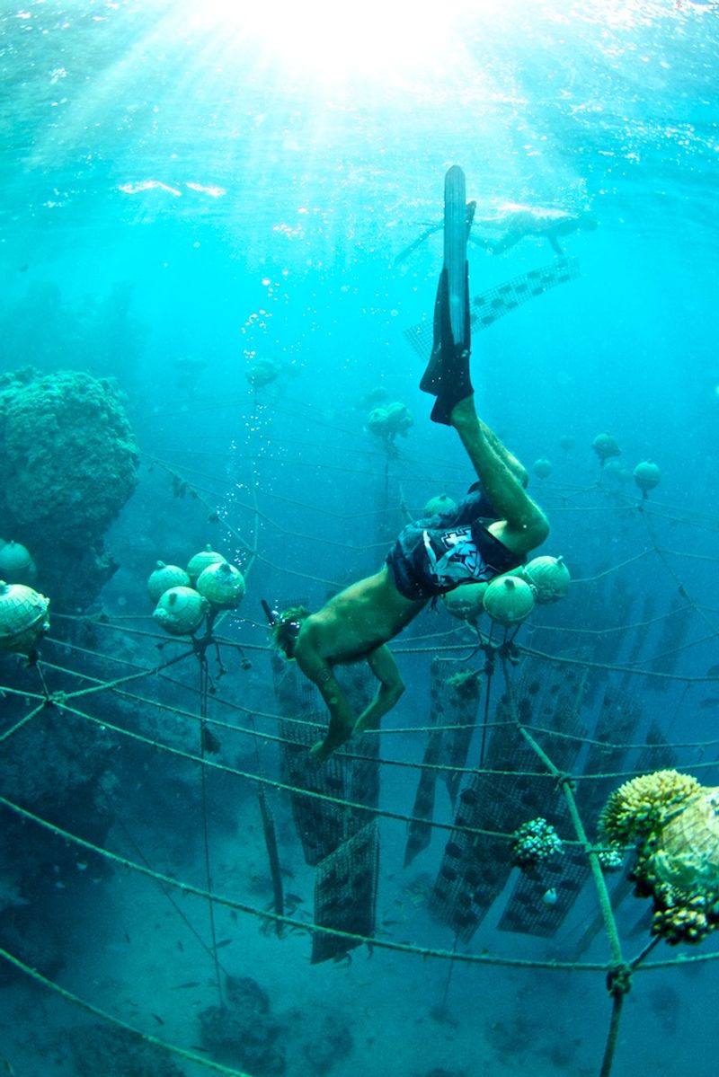 A Family Built on Pearls