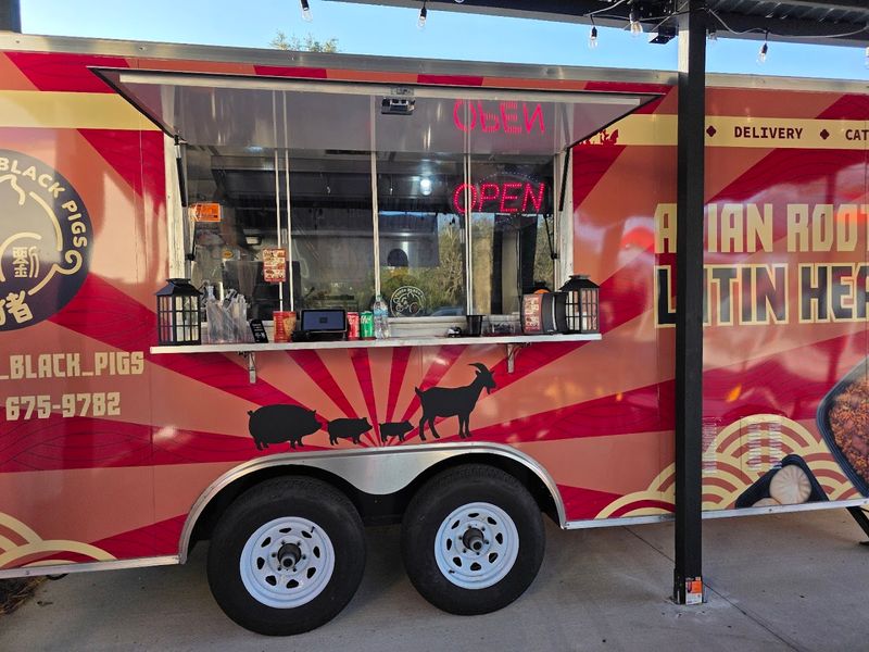 Three Black Pigs - Haines City, Florida