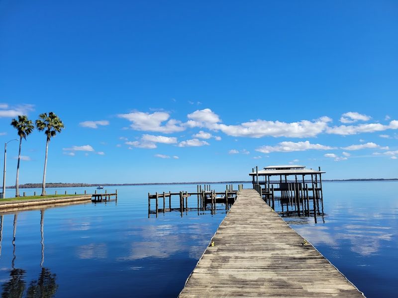 The St. Johns River Connection