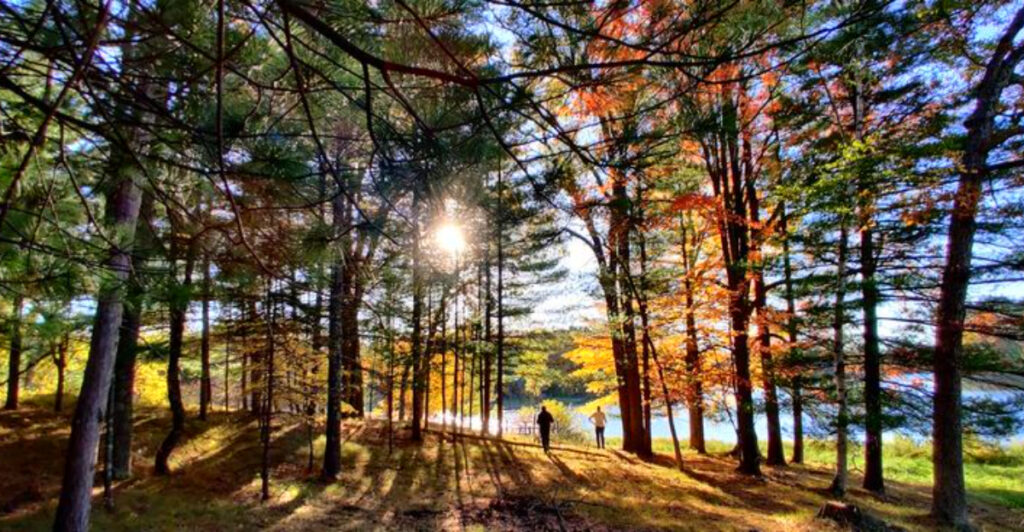 Once Called “Black Eden,” This Hidden Michigan Town Drew 25,000 Visitors a Summer – Here’s Its Powerful Story