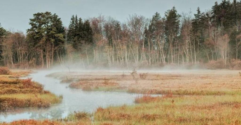 One Of New Jersey’s Largest Wild Areas Conceals A 17-Trillion-Gallon Underground Ocean