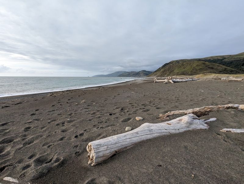 Finding the Trailhead at Mattole Beach