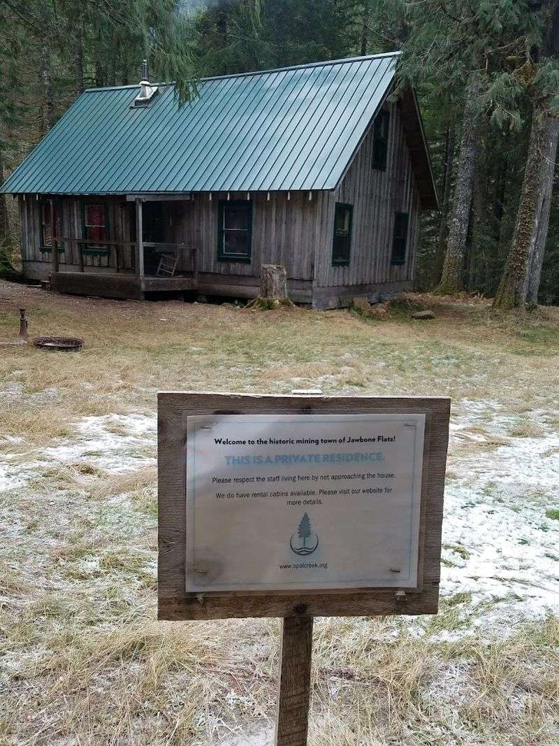 Jawbone Flats: The Ghost Town Hiding in the Trees