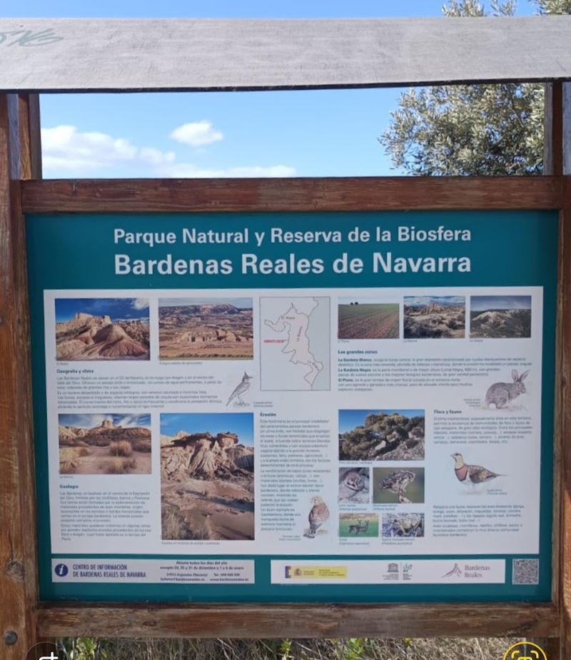 Bardenas Reales, Spain: Europe's Desert-Like Badlands With Full Final-Boss Energy