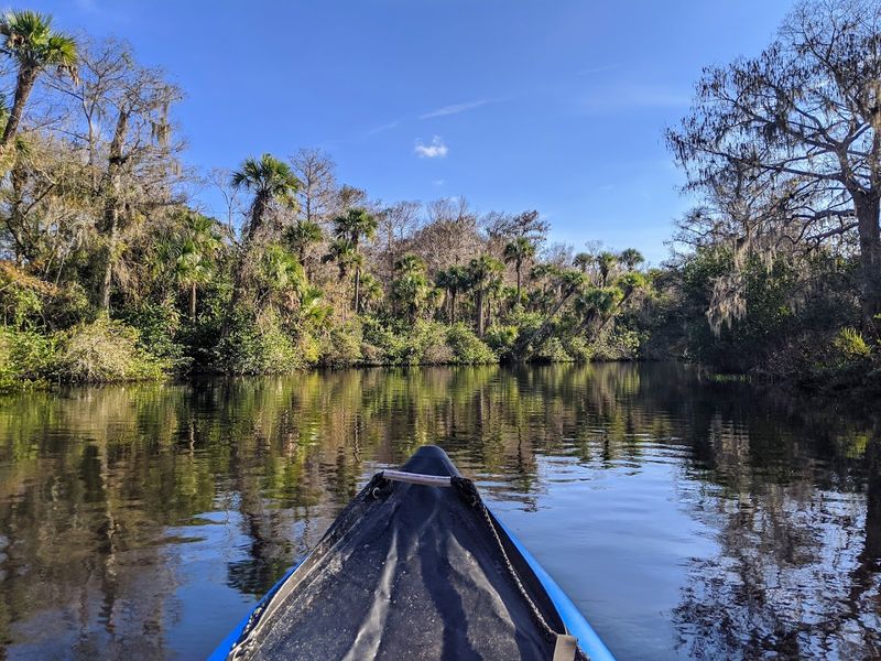 Jonathan Dickinson State Park: Florida's Wild Side Is Right Next Door