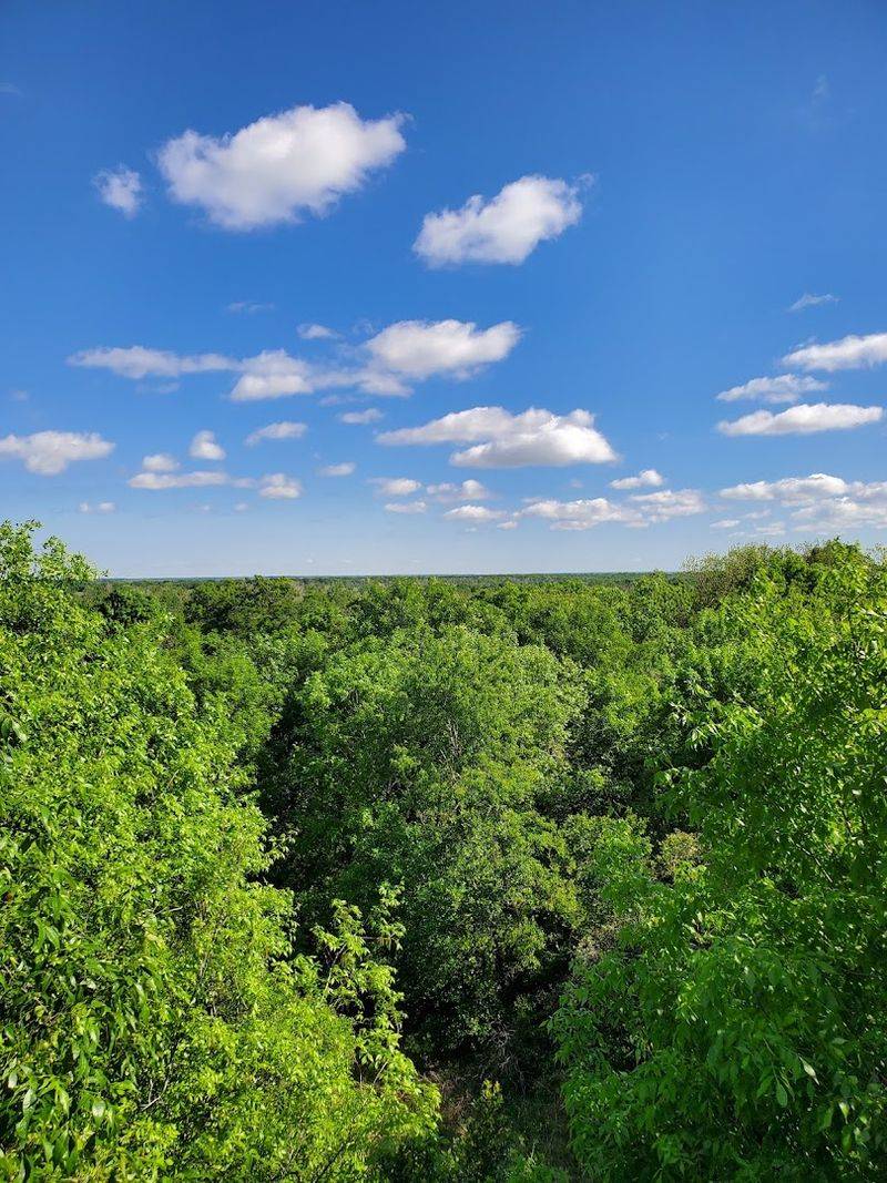 Scenic Drives and Viewpoints