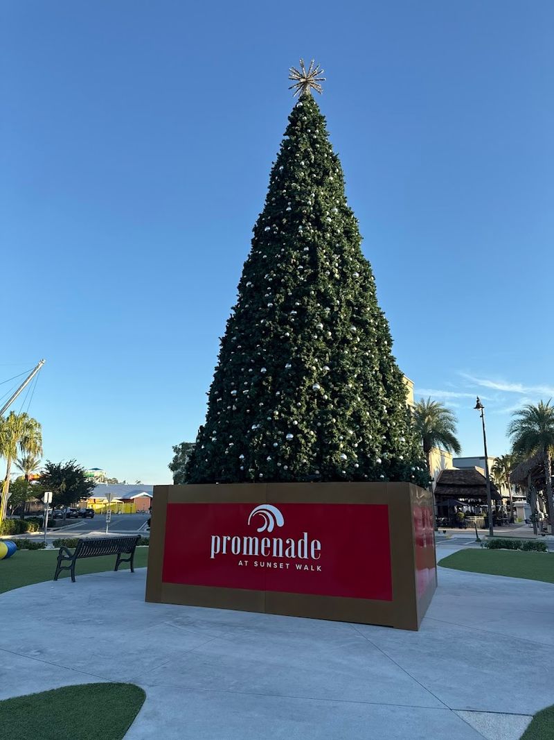 Seasonal Events and Festive Celebrations