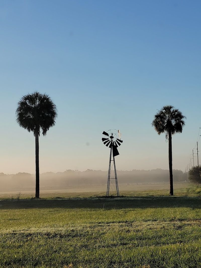 The Agricultural Roots of the Region
