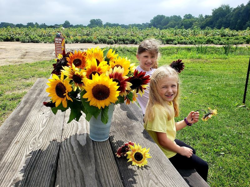 Fresh Donuts That Deserve Their Own Fan Club