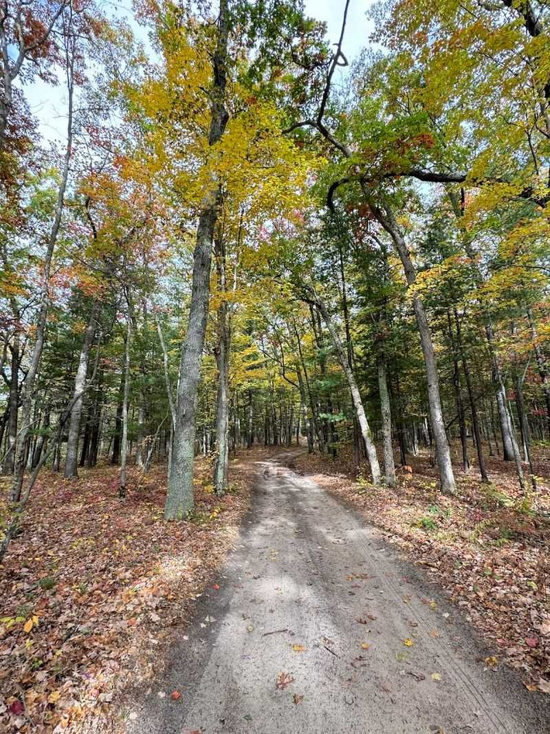 Trails and Paths That Lead to the Overlook