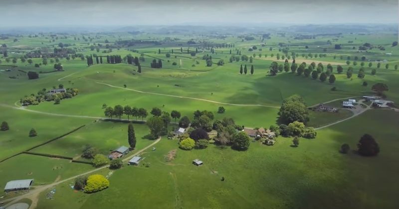 Canterbury Plains (New Zealand)