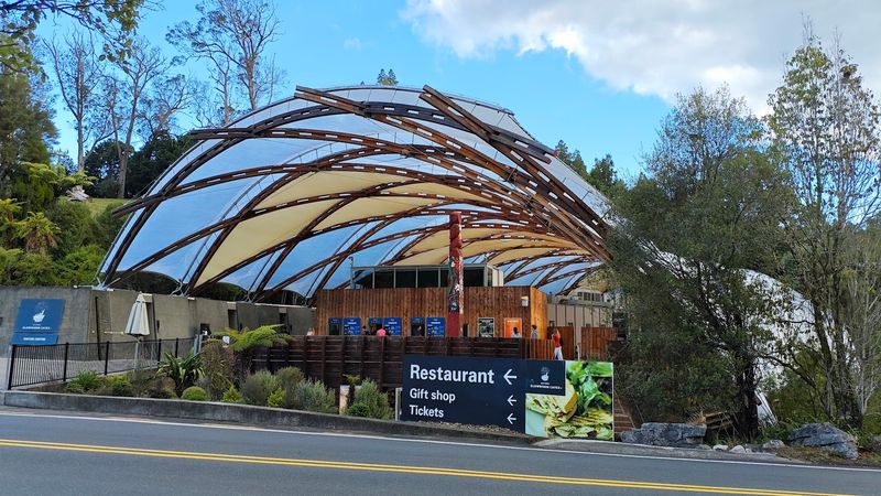 Waitomo Glowworm Caves - Waitomo, New Zealand
