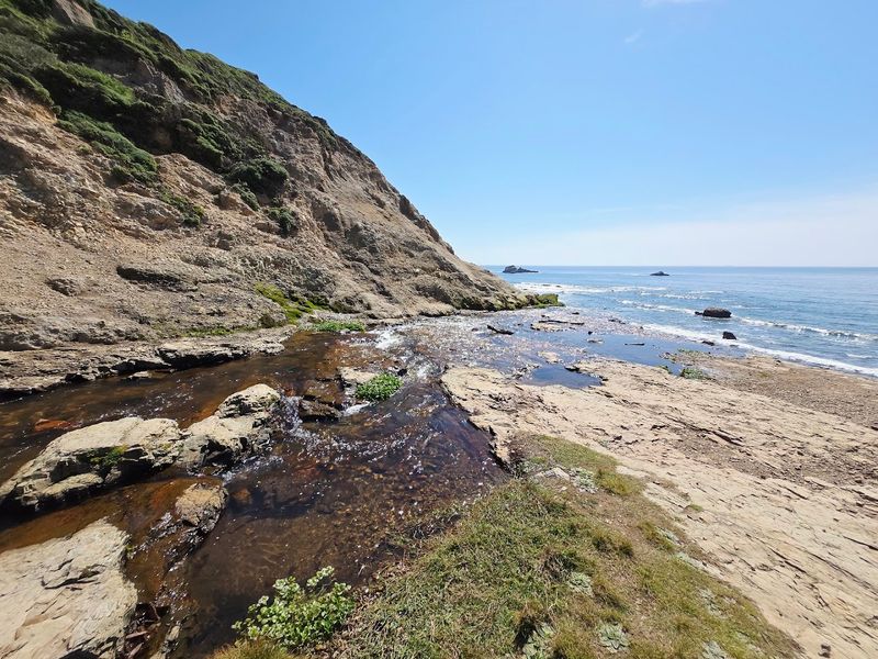Wildlife You Might Encounter on the Trail