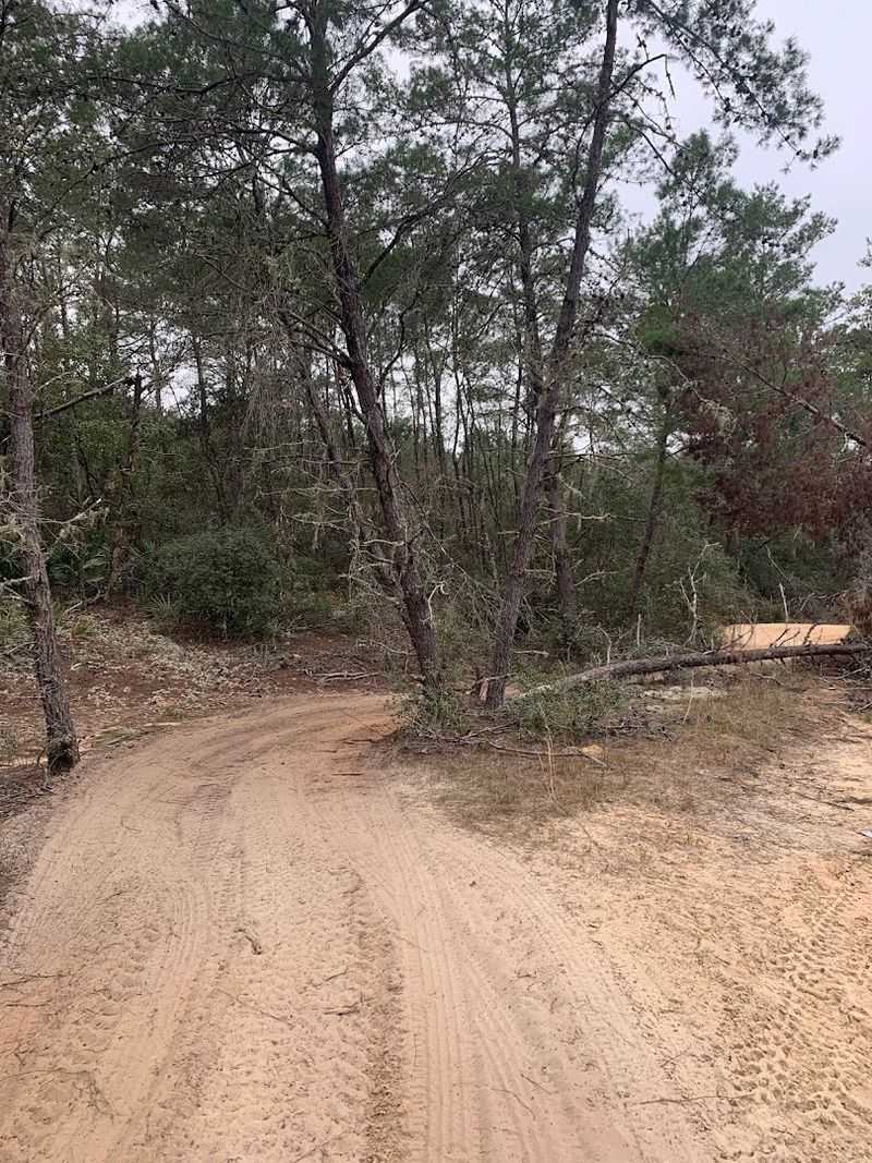 Safety on the Trails: Riding Smart in the Forest