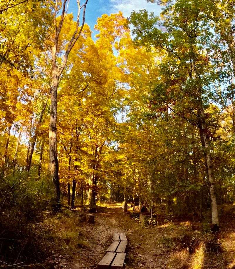 Why This Park Stays With You Long After the Visit Ends