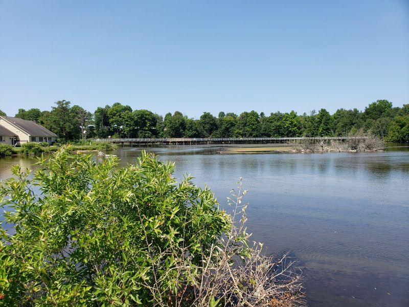 How Long the Walk Actually Takes and Who It Suits