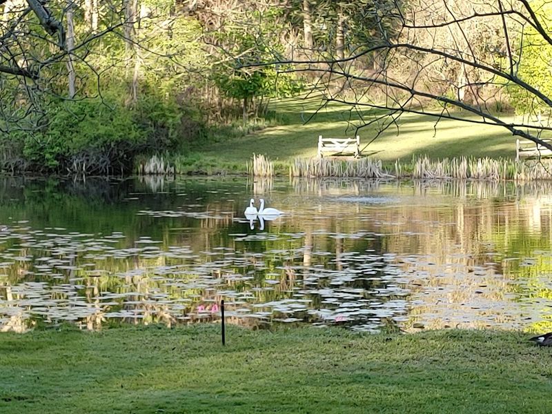 What Spring Looks Like Here