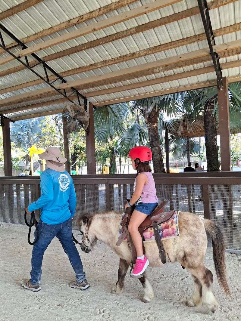 Pony Rides and Tractor Tours Around the Property