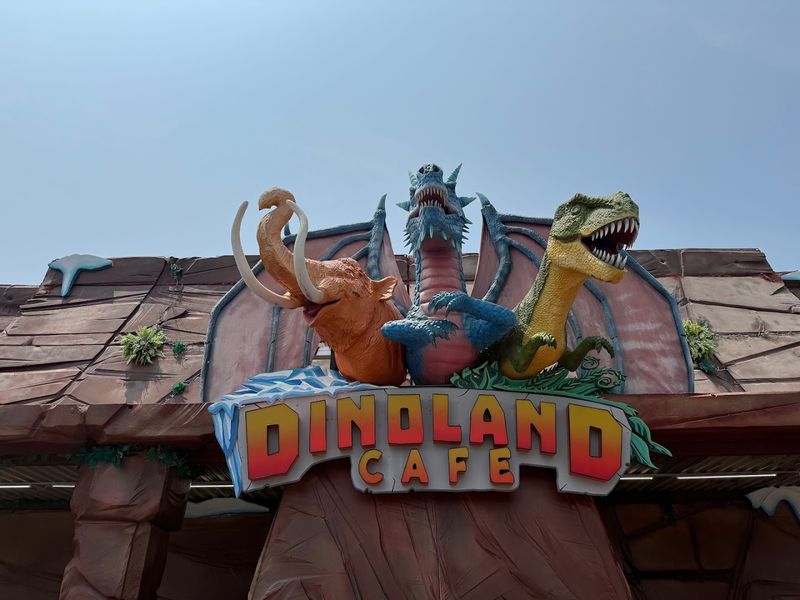 Practical Tips Before You Go