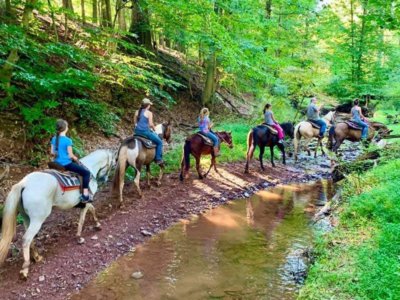 Practical Tips Before You Go