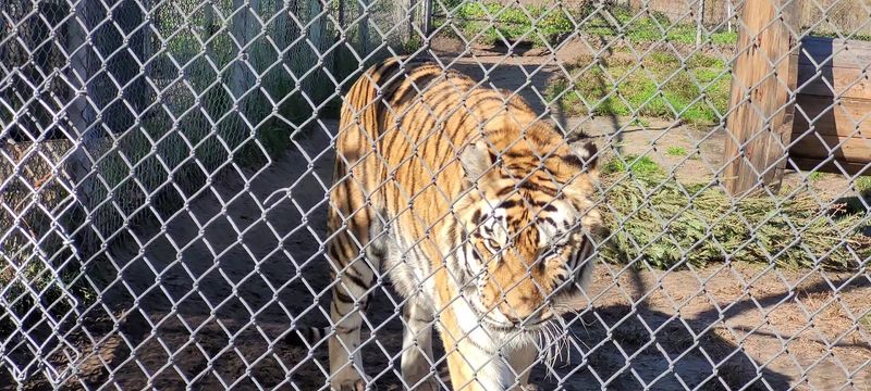 What to Expect on Admission and Pricing