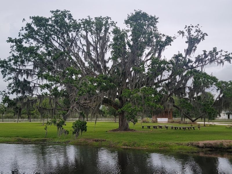 Tips for Planning Your Visit to Congaree and Penn