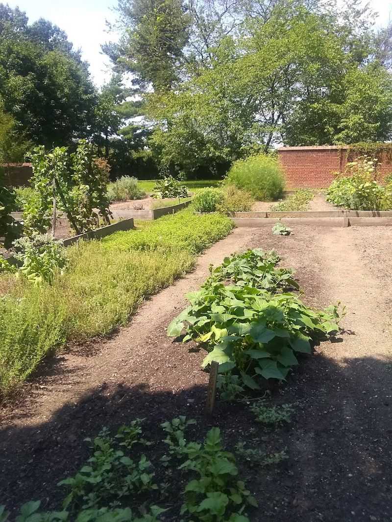 The Gardens and Grounds That Frame the Property