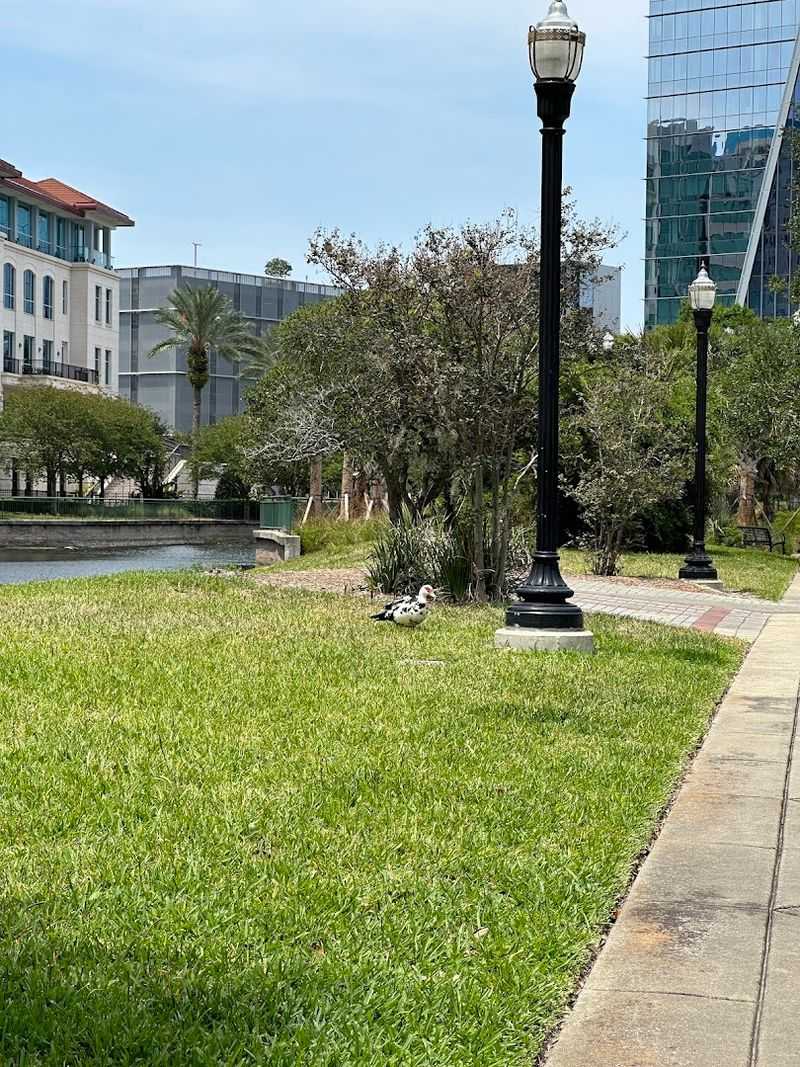 Picnic Spots and Peaceful Moments