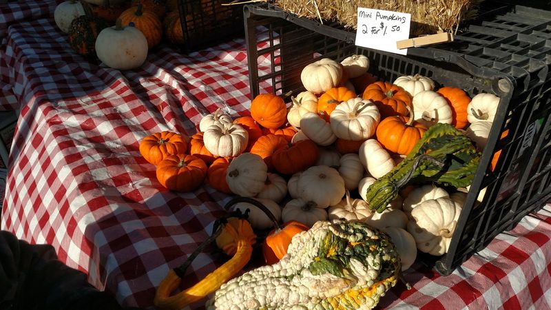 Seasonal Surprises and Special Market Days Worth Planning Around