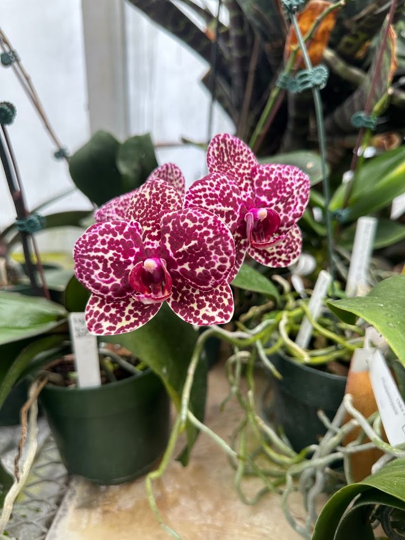 Seasonal Highlights: When to Visit and What Changes Throughout the Year