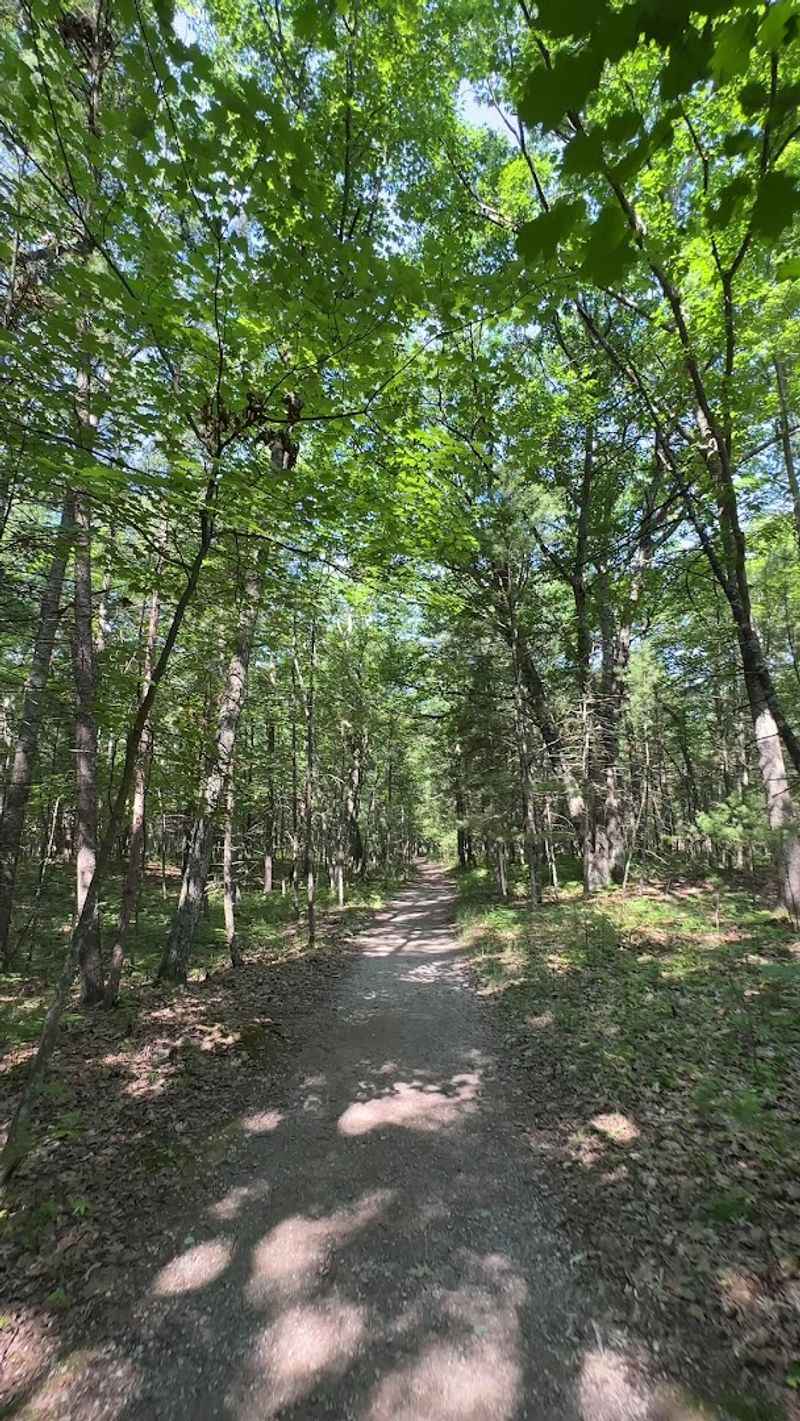 Trails That Make the Campground Feel Bigger