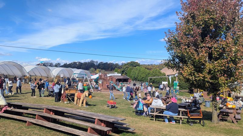 Seasonal Festivals and Fall Family Fun Days