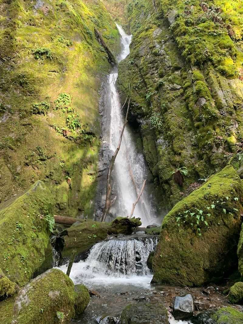 Lower Soda Creek Falls - Cascades
