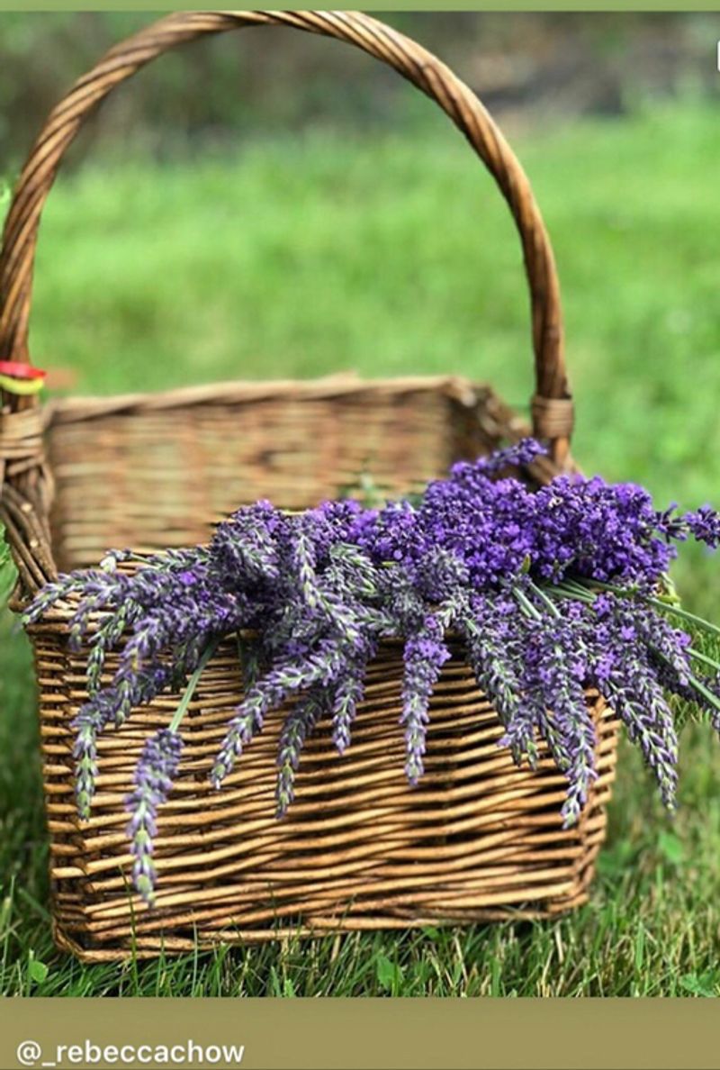 Best Time to Visit and Seasonal Tips