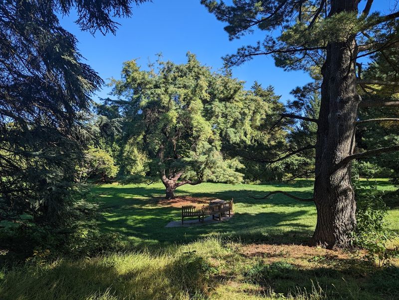 A Dog-Friendly Destination Worth Knowing About