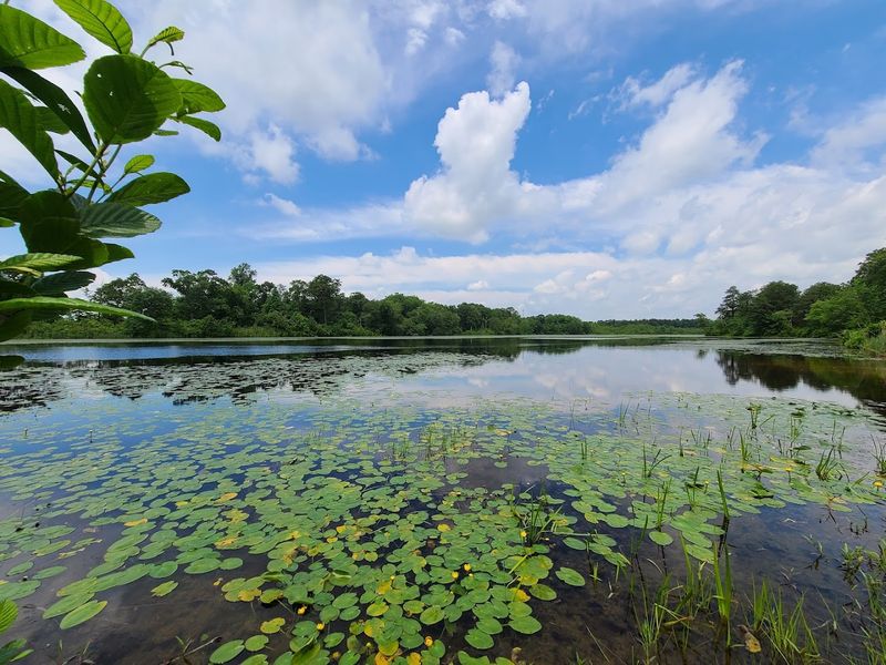 Practical Tips Before Your First Visit