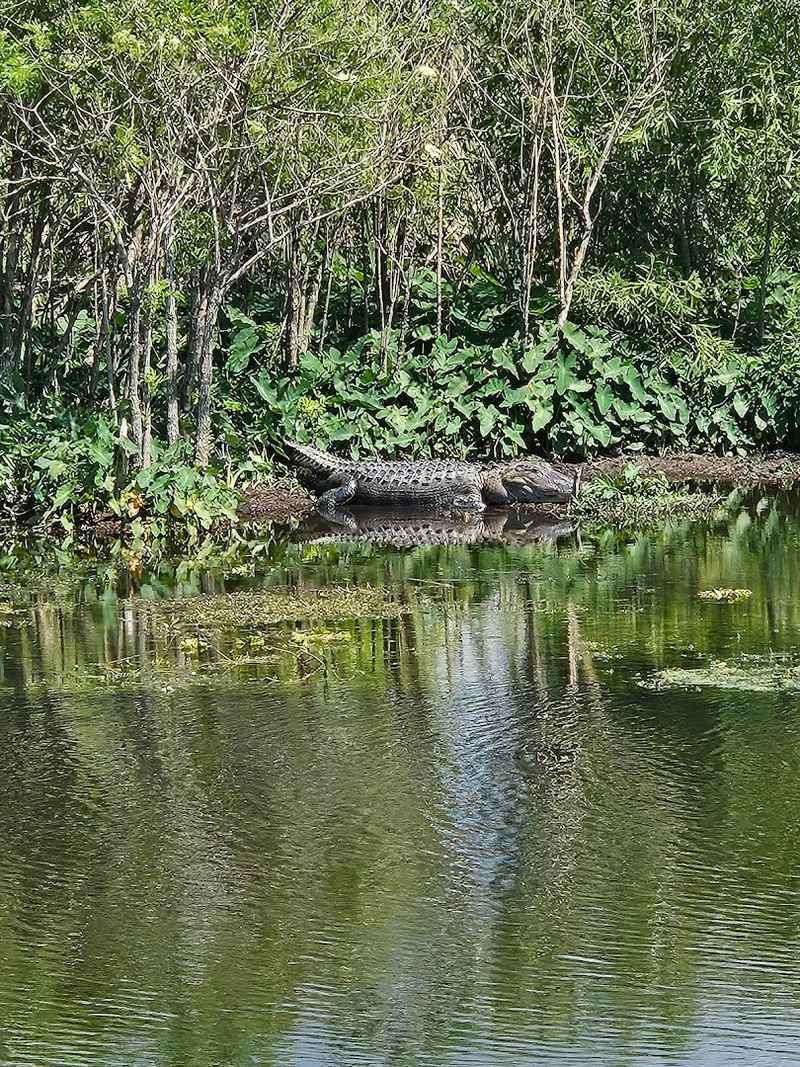 Hiking and Biking Options Beyond the Car Drive