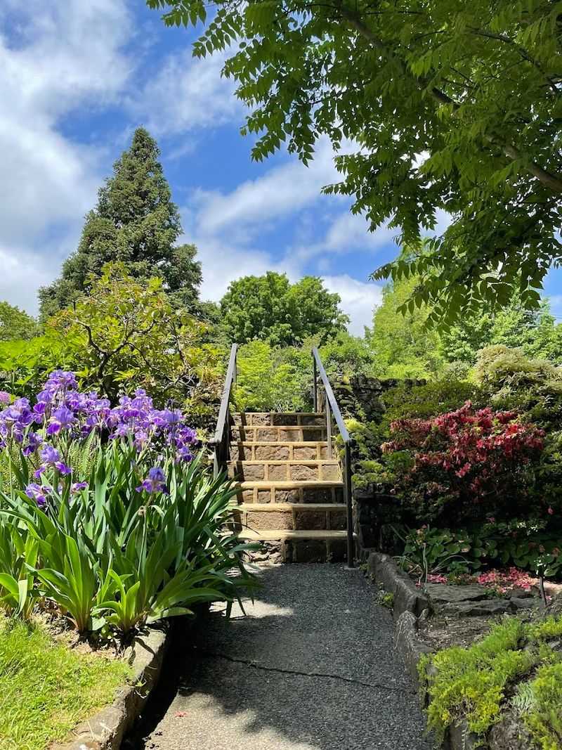 Practical Tips Before Your First Visit