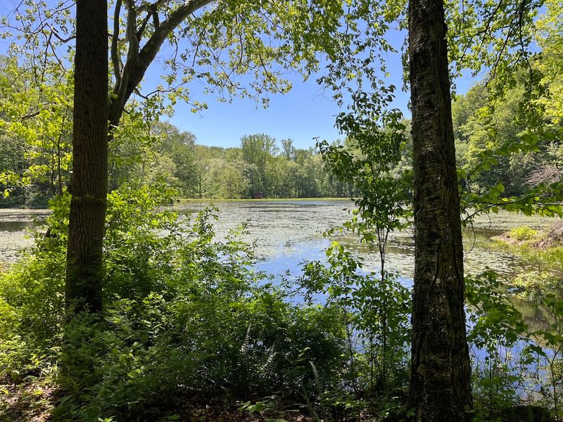 Why Ghost Lake Stays With You