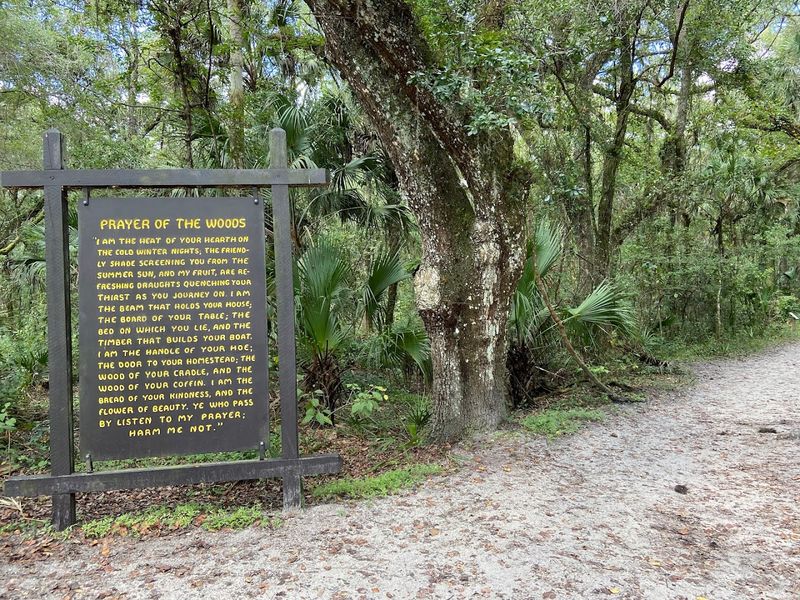 Practical Tips for First-Time Visitors