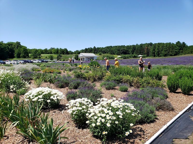 Planning Your Visit: Practical Tips Before You Go