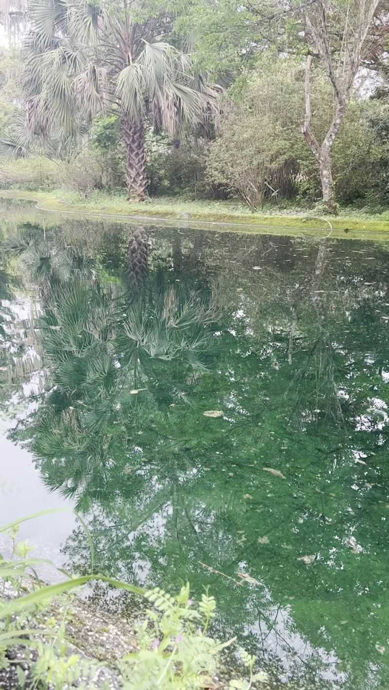 Visiting in Off-Peak Seasons