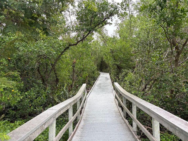 Practical Tips for First-Time Visitors