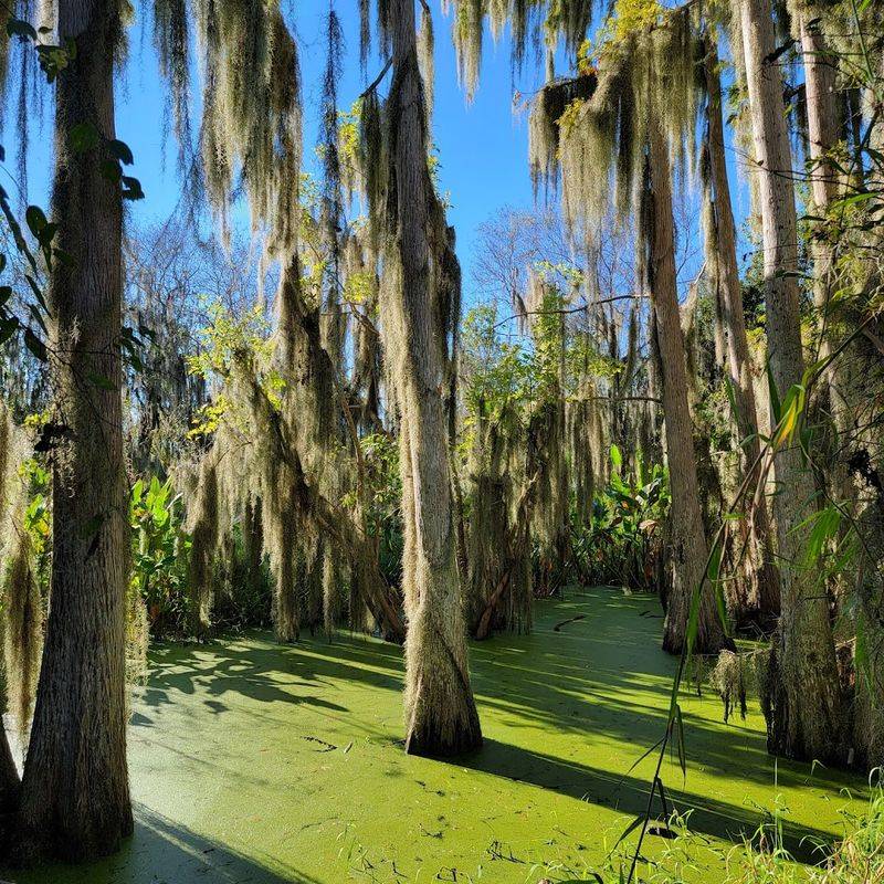 Why This Reserve Captures the Spirit of Old Florida