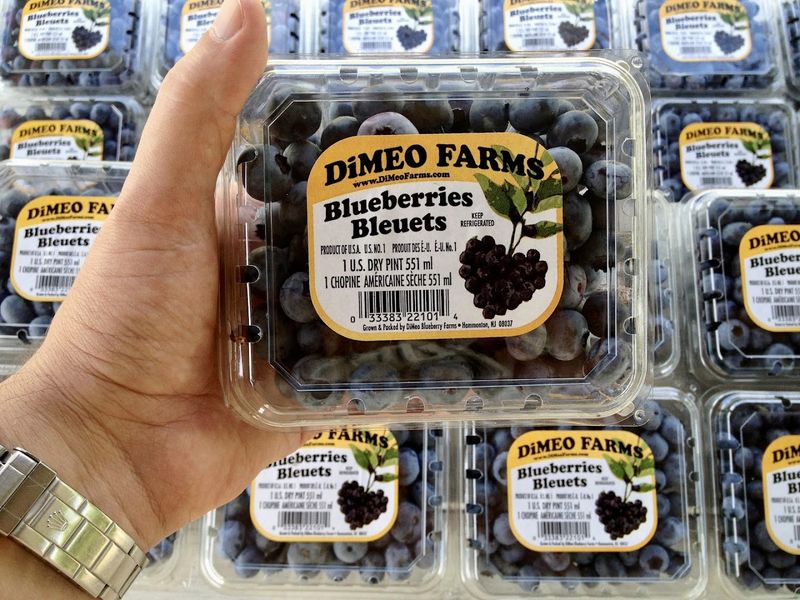 The Role of Agriculture in the Local Economy